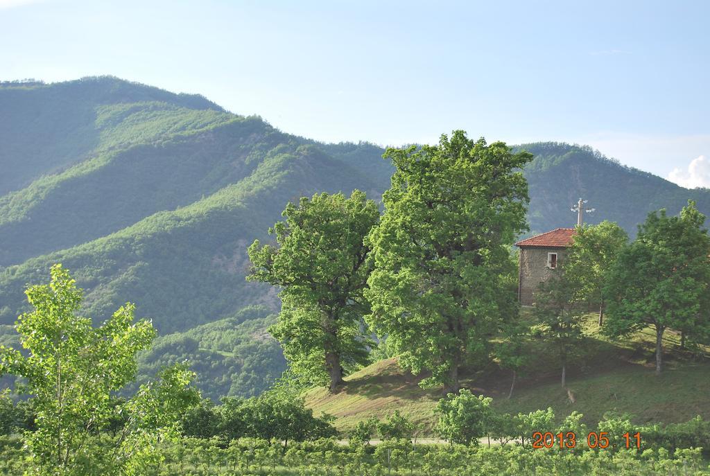 Agriturismo Badia Di Susinana Villa Palazzuolo Sul Senio Exterior photo